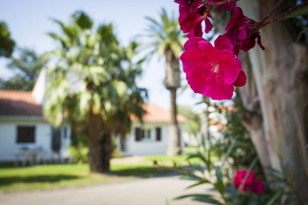 Hotel Le Domaine Du Mas Blanc By Popinns Alénya Eksteriør bilde